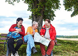 Drei Wanderer sitzen auf einer Bank unter einem Baum und schauen sich  eine Landkarte an.