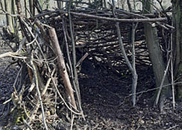 Eine Hütte aus Ästen und Zweigen im Wald.